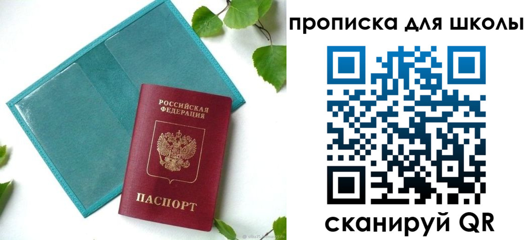 прописка в Чистополье